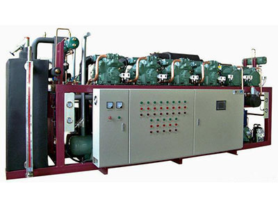 比泽尔 - 北京中盛天瑞制冷科技有限公司图片4