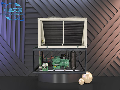 比泽尔 - 北京中盛天瑞制冷科技有限公司图片2