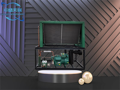 比泽尔 - 北京中盛天瑞制冷科技有限公司图片3