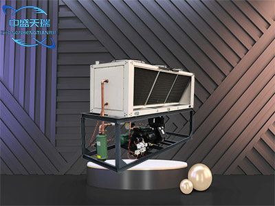 谷轮 - 北京中盛天瑞制冷科技有限公司图片2