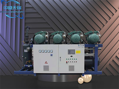 比泽尔 - 北京中盛天瑞制冷科技有限公司图片2