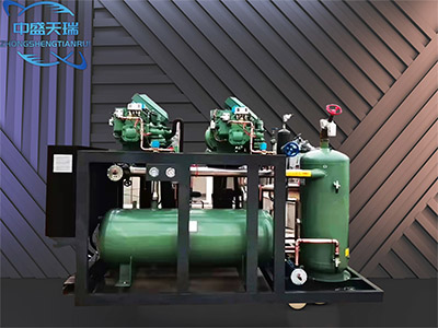 比泽尔 - 北京中盛天瑞制冷科技有限公司图片5