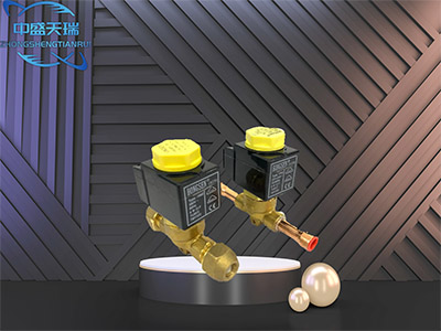 电磁阀 - 北京中盛天瑞制冷科技有限公司图片2